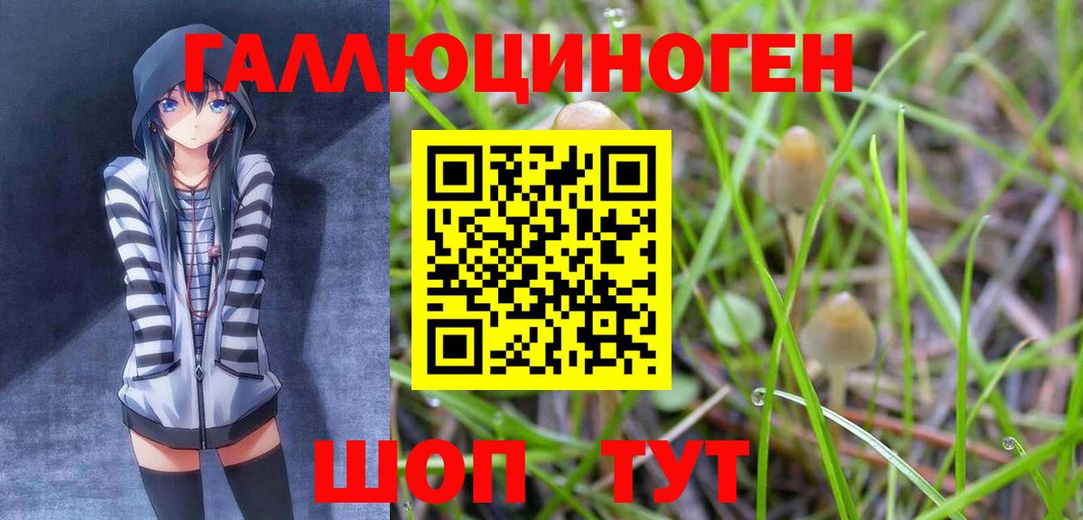 Верхняя Пышма  Псилоцибиновые грибы Psilocybine cubensis  Вход с VPN 