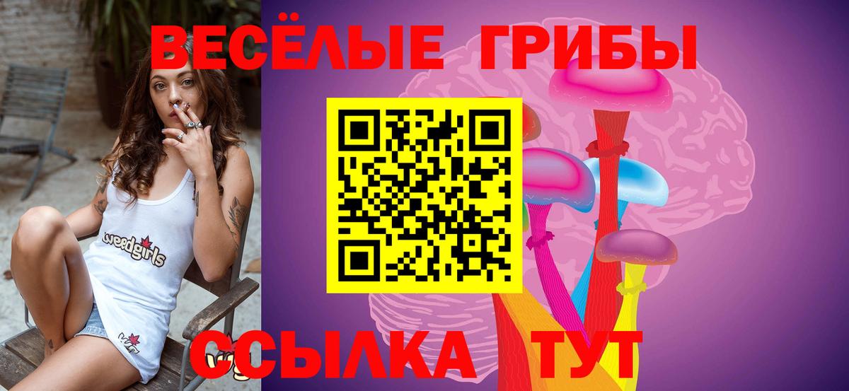 Галлюциногенные грибы Cubensis Верхняя Пышма